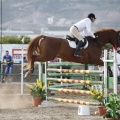 Poni club