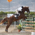 Poni club