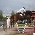Poni club