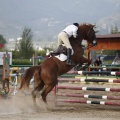 Poni club