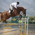 Poni club