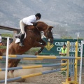 Poni club
