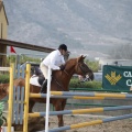Poni club