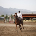 Poni club