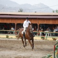 Poni club
