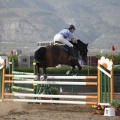 Poni club