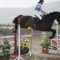 Poni club