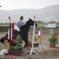 Poni club