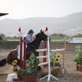 Poni club