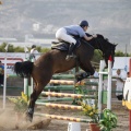 Poni club