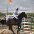 Poni club