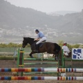 Poni club