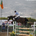 Poni club
