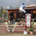 Poni club
