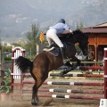 Poni club