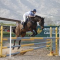 Poni club