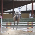 Poni club