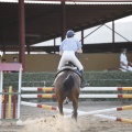 Poni club