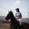 Poni club
