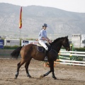 Poni club