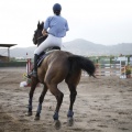 Poni club