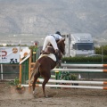 Poni club