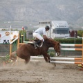 Poni club