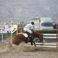 Poni club