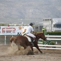 Poni club