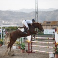 Poni club