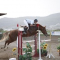 Poni club