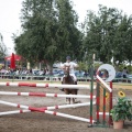 Poni club