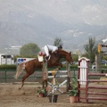 Poni club