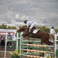 Poni club