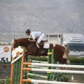 Poni club