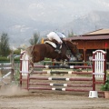 Poni club