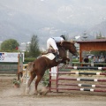 Poni club