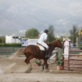 Poni club