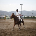Poni club
