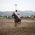 Poni club