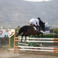 Poni club