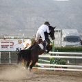 Poni club