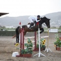 Poni club