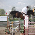 Poni club