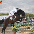 Poni club