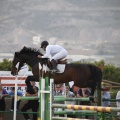 Poni club
