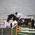 Poni club