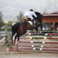 Poni club