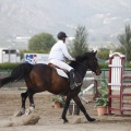 Poni club