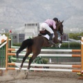 Poni club